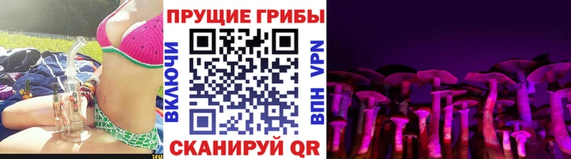 кракен маркетплейс  Отрадный  Псилоцибиновые грибы MAGIC MUSHROOMS 