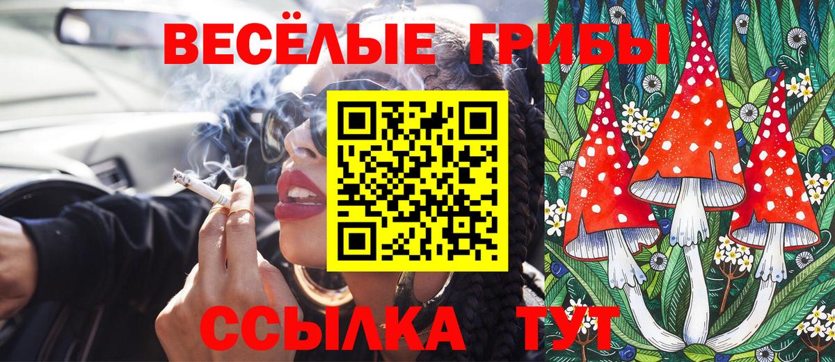 Отрадный  Псилоцибиновые грибы Psilocybine cubensis  Галлюциногенные грибы мицелий  Вход с VPN 
